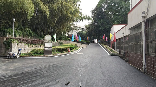 汤山疗养院道路出新工程